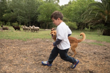 foto-destacada-3