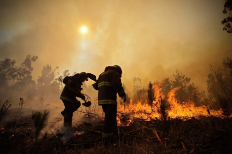 aptopix-chile-wildfires-alejandro-zonez-ap